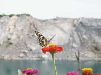 ภูผาม่าน