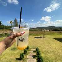 คาเฟ่ลับ เขาใหญ่ 🌿