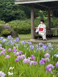 〜神奈川県〜相模原公園　あやめが綺麗な穴場スポット