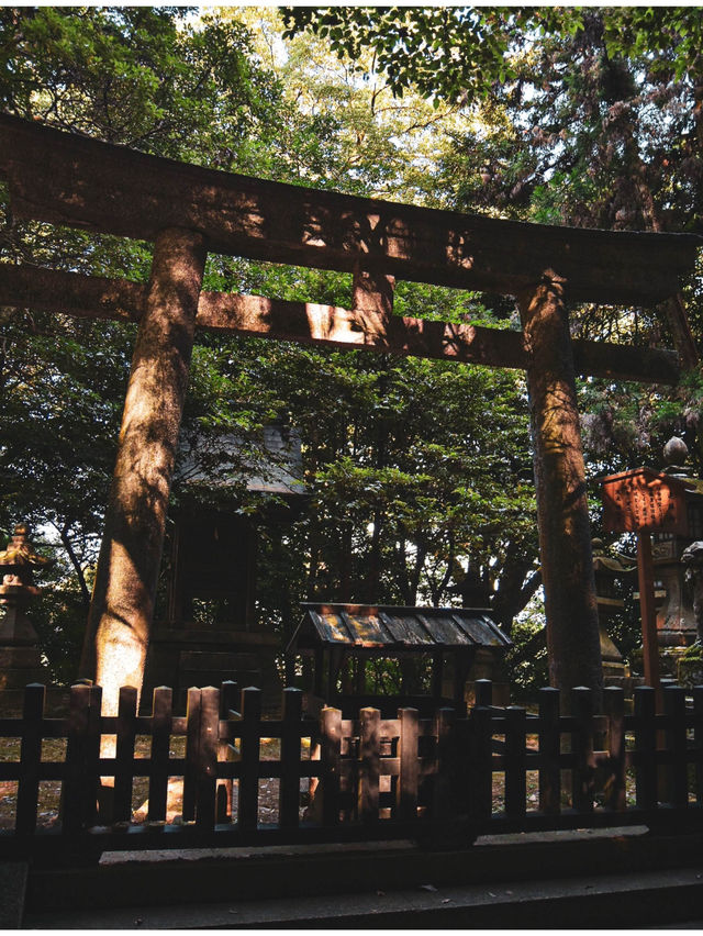 日帰り香川県旅行✈️