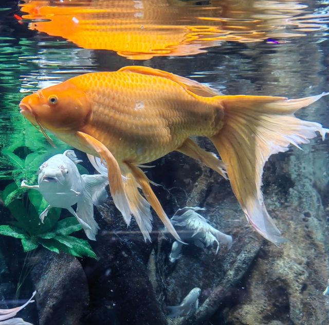 珠海室內好去處長隆飛船樂園