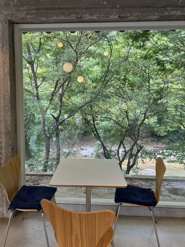 남한산성의 자연을 바라보며 🌳여유롭고 느긋한 시간을 보낼 수 있는 감성카페추천 💚