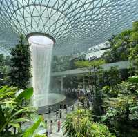 Tropical Oasis at Changi