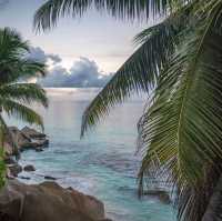 An island paradise