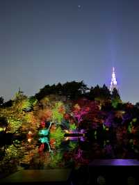 〜東京都〜🍁絶景！秋の新宿御苑