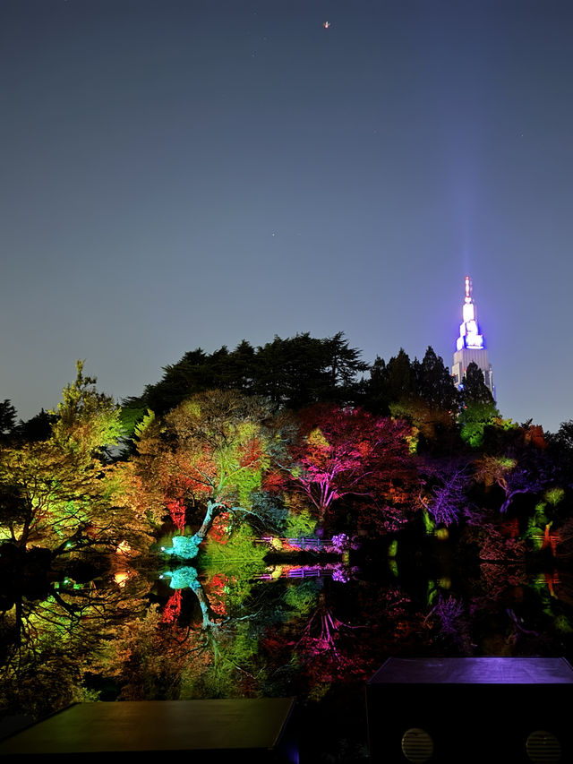 〜東京都〜🍁絶景！秋の新宿御苑