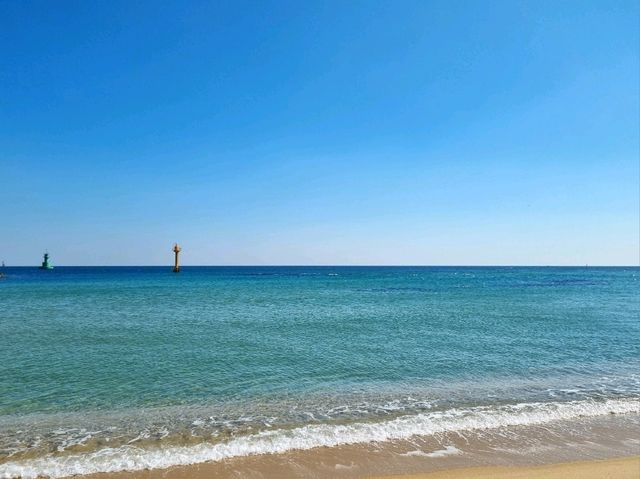 속초여행 필수코스! 🏖속초해수욕장💙🩵💙🩵