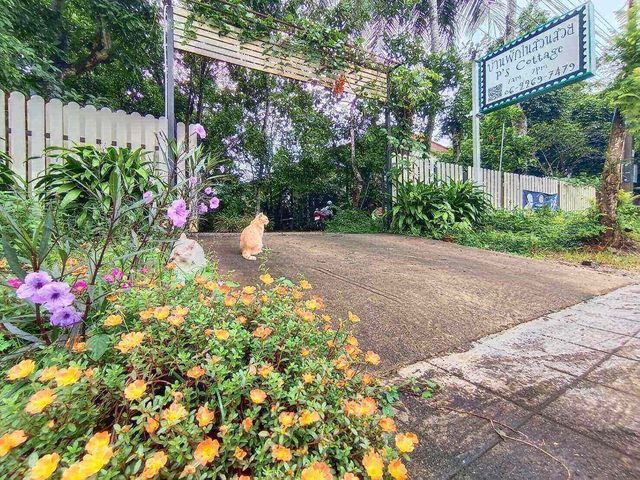 บ้านพักในสวนสวย p's cottage