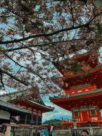 Stunning Views of Kyoto from Kiyomizu-dera ⛩️ 