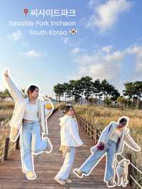 📍씨사이드파크 Seaside Park 