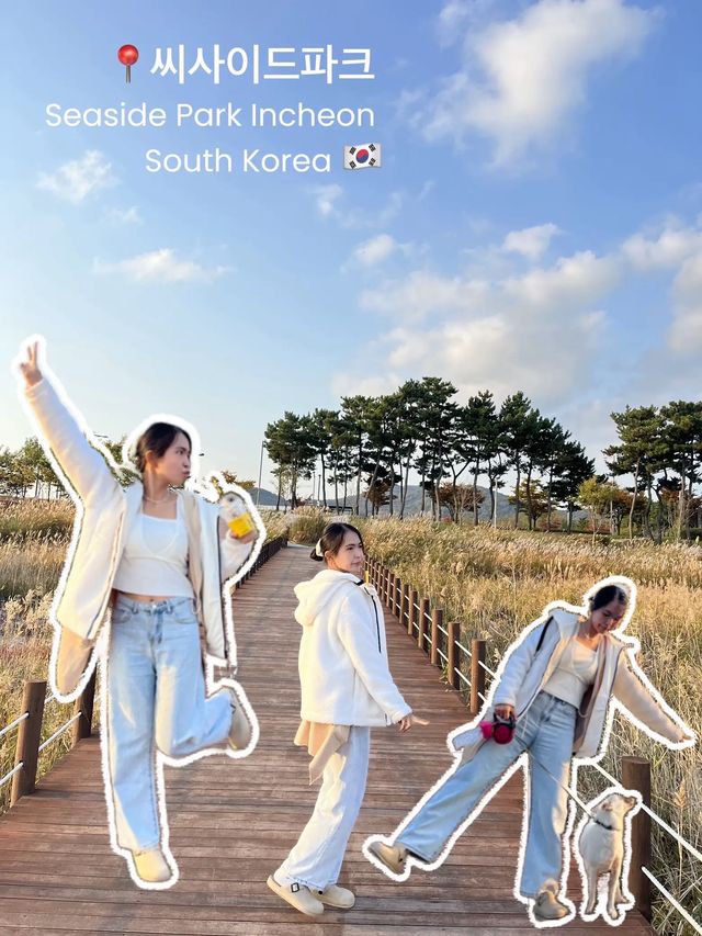  📍씨사이드파크 Seaside Park 