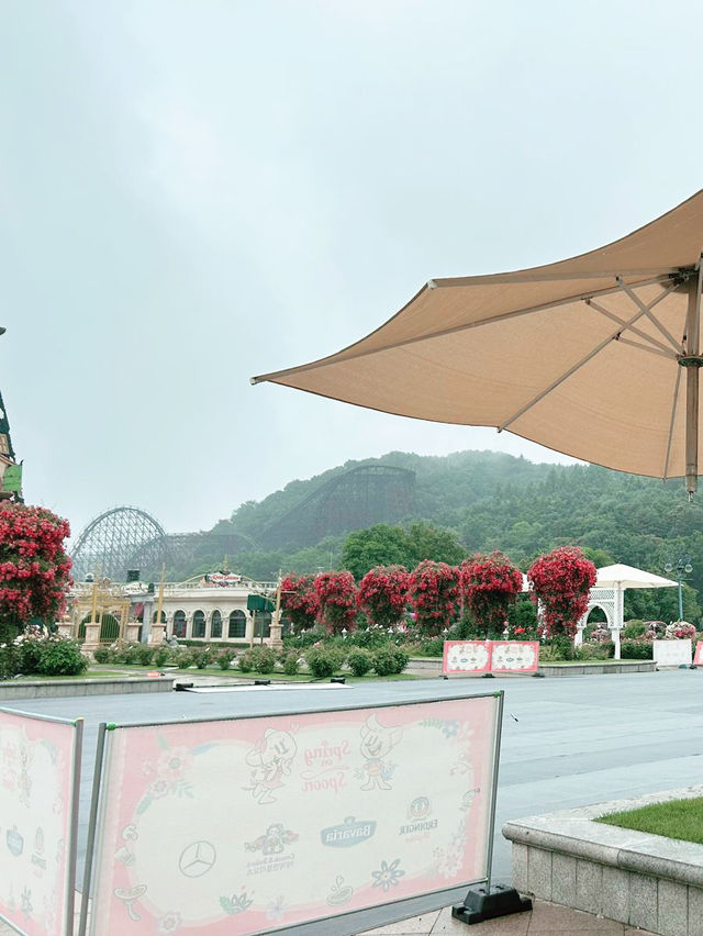 韓國愛寶樂園：與長頸鹿互動好正啊