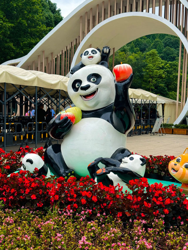 🇨🇳If you only have 3 days in Chengdu, here’s the must-go!