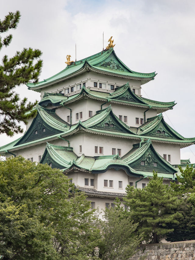 Nagoya Castle แลนด์มาร์คแห่งเมืองนาโกย่า 🏯