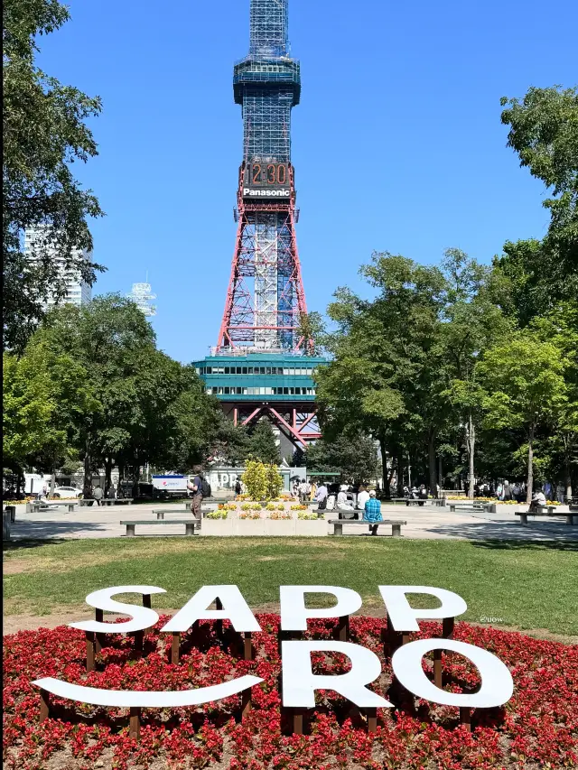 👆🏻지금이 특가! 삿포로 4박5일 여행일정 총정리!