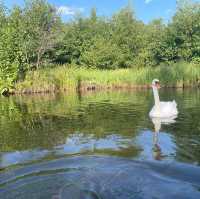 Krutynia River – A Kayaker’s Paradise