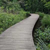 Houston Arboretum & Nature Center: A Natural Haven