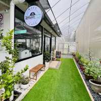"Urban Oasis: A Unique Farm-to-Table Experience in Aquaponic Garden Café"