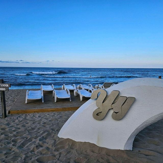 강원도 양양 가볼 만한 곳  서피비치⛱️