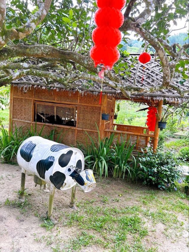 Nature and Family Fun at Bentong Farm