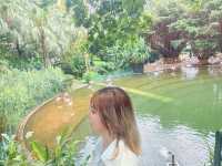 居然在九龍公園發現天空之鏡