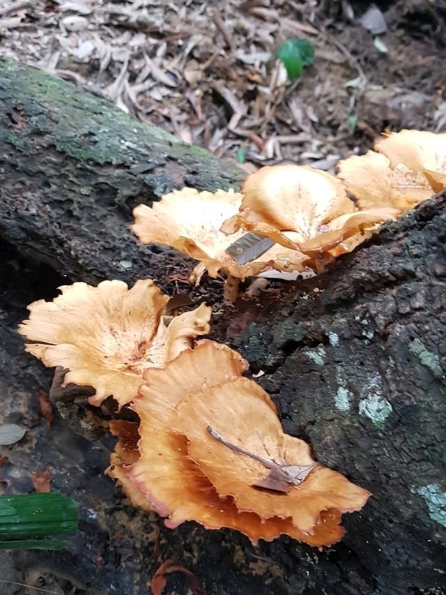 IN HARMONY WITH NATURE 