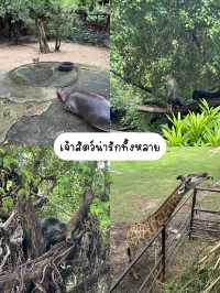 พาไปเที่ยว….สวนสัตว์เขาเขียว✅