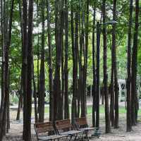 🌲 木場公園🌲城市綠洲🌲