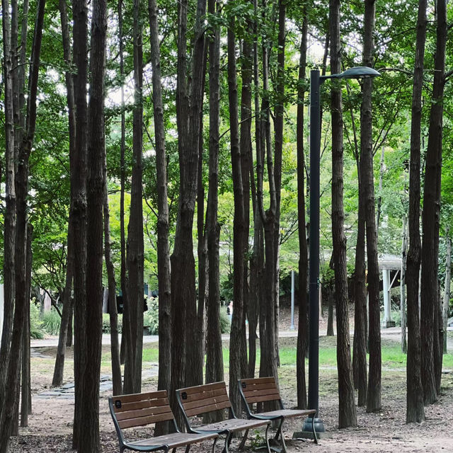 🌲 木場公園🌲城市綠洲🌲