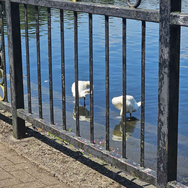 Cardiff’s Green Oasis
