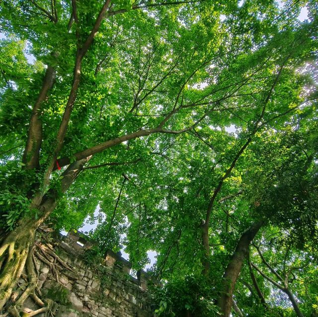 長江源頭，宜賓三江匯合處