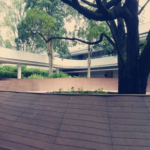 新加坡大學：東南亞的頂尖學術殿堂