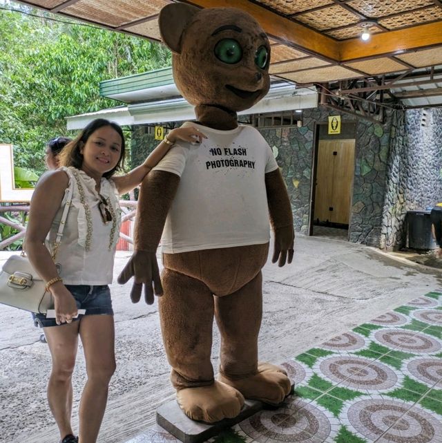 Bohol Moment 