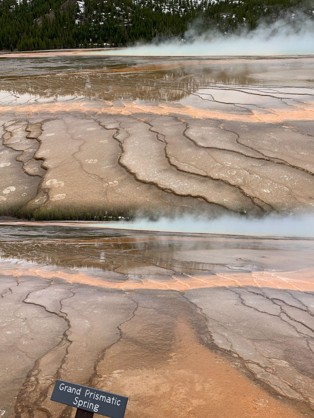 Exploring Yellowstone National Park:Geysers, Wildlife, and a Stay at Old Faithful Inn