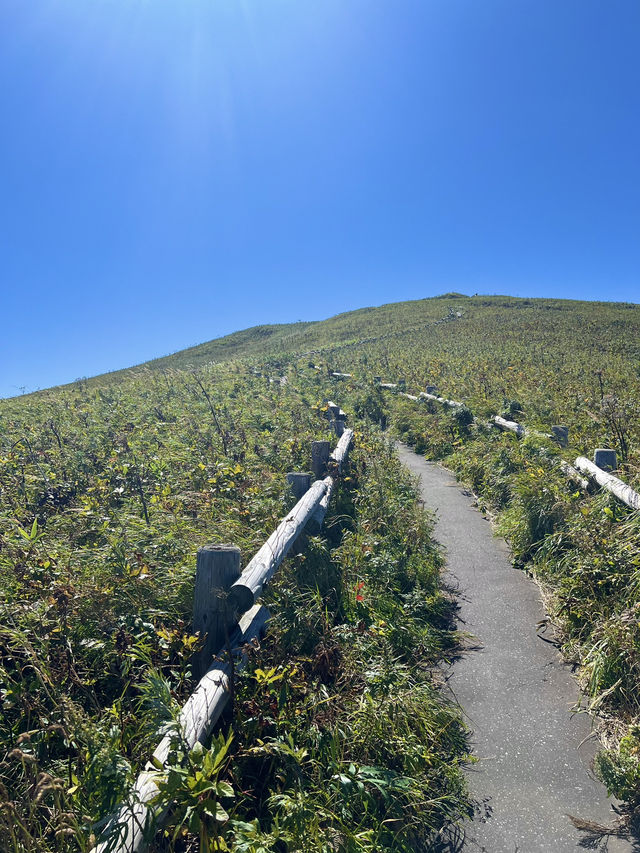 【礼文島】花の浮島桃岩展望台✨