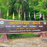 ตะลุยสุไหงปาดี