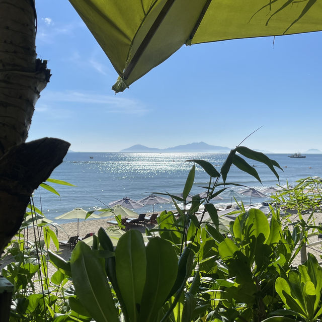 Buy coffee and Free Beach Club