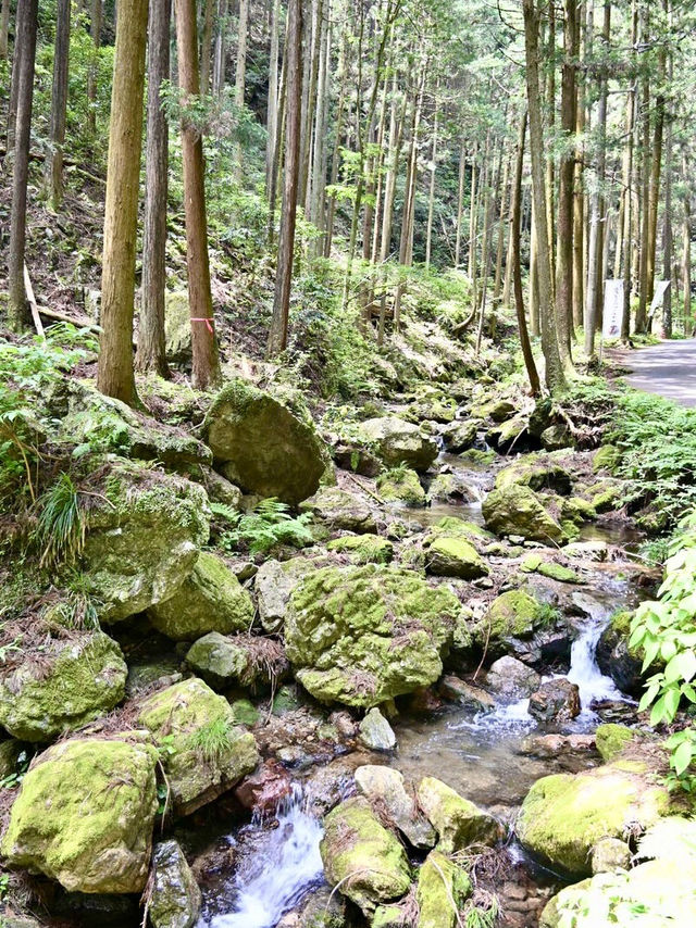 【埼玉県】間近で感じられるマイナスイオン