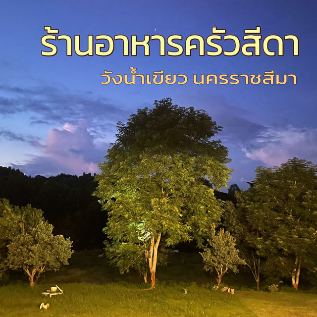 ร้านอาหาร ครัวสีดา วังน้ำเขียว (seedakitchen)