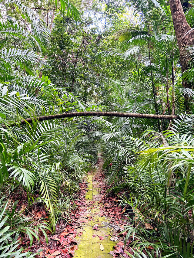 Exploring Labrador Nature Reserve 