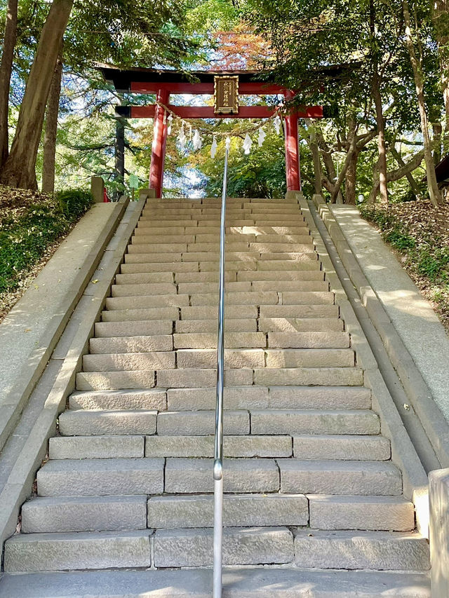 【埼玉県】巫女人形に願いをのせて