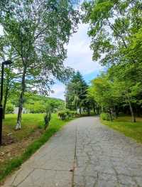 【札幌芸術の森美術館:北海道札幌市】自然の中の綺麗な美術館✨