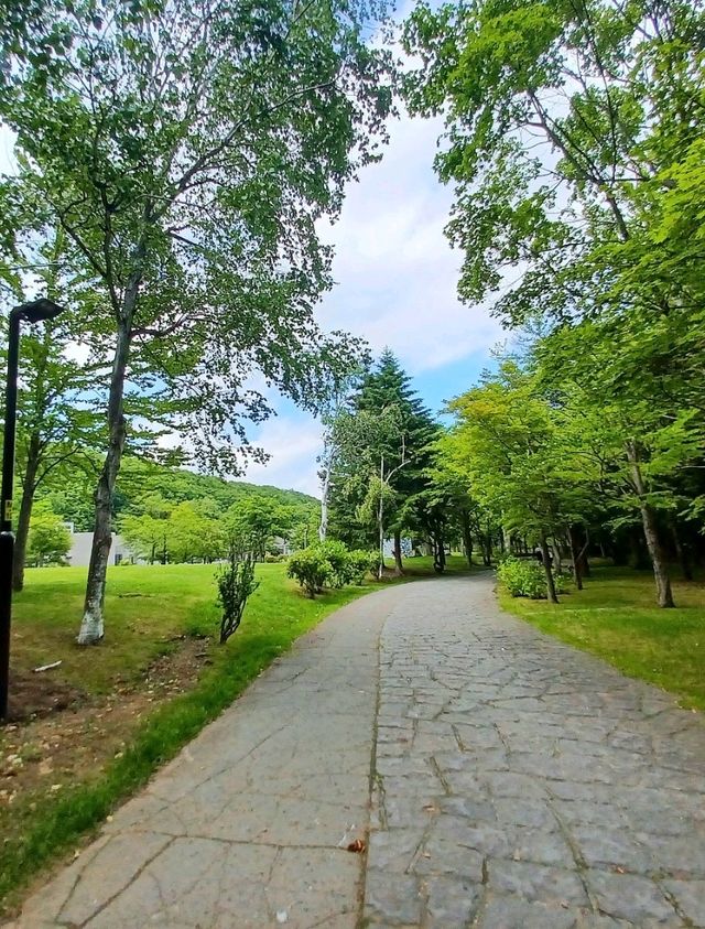 【札幌芸術の森美術館:北海道札幌市】自然の中の綺麗な美術館✨