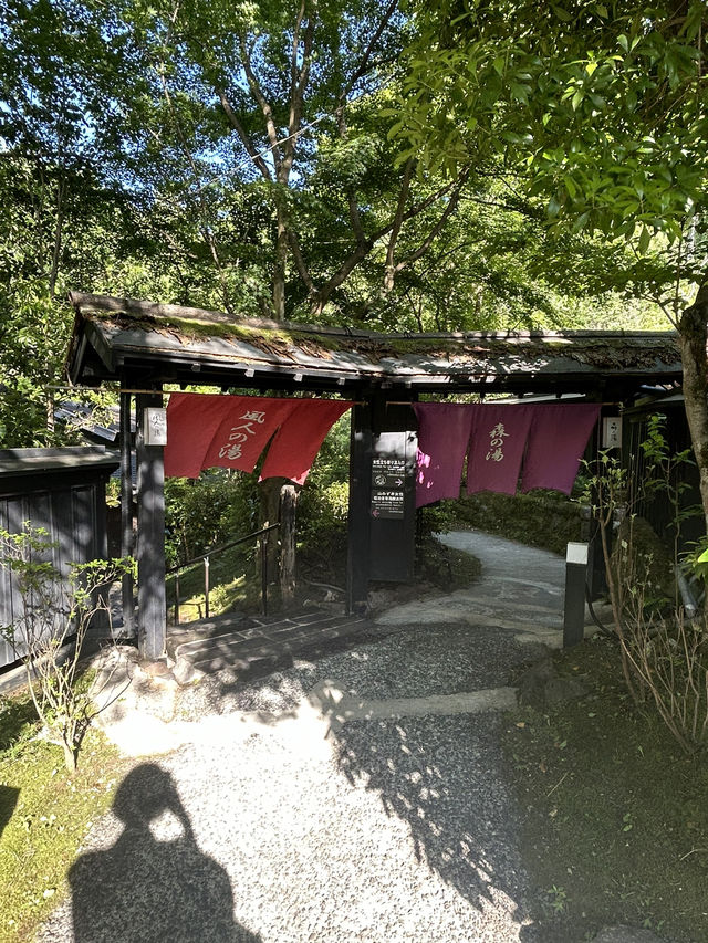 【熊本・黒川温泉】緑を眺めながら入る温泉が最高