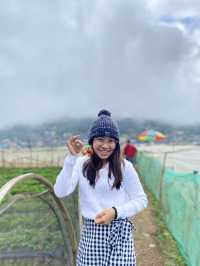 Strawberry Farm, Benguet ✨