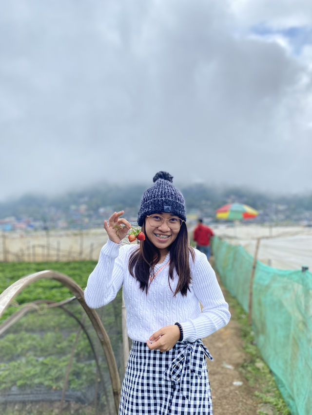 Strawberry Farm, Benguet ✨