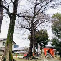 大坂ㅣ參天巨木加持ㅣ有神靈的澁川神社