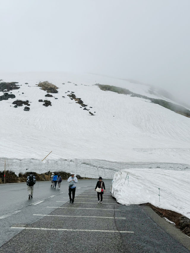 立山黑部 | 東京出發🇯🇵被稱為仿佛時間靜止的最后秘景