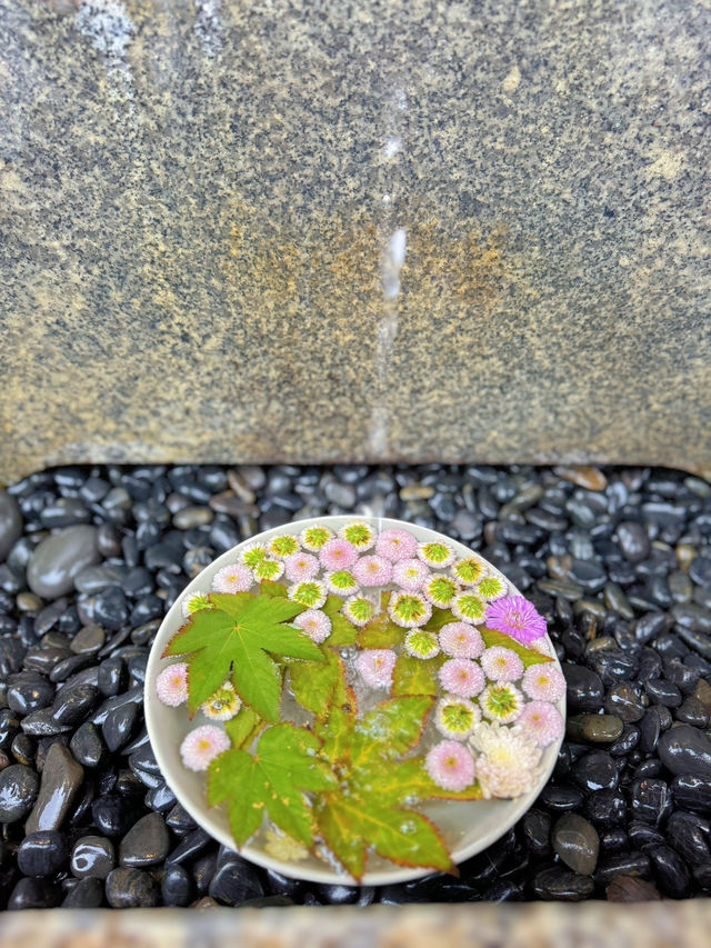 【東京】大事な日の前にここ行って!!日本で唯一の気象神社☀️