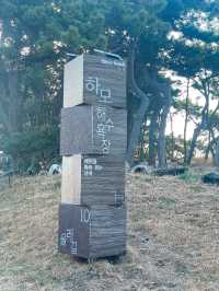 제주도 한적한 바다 ‘하모해수욕장’